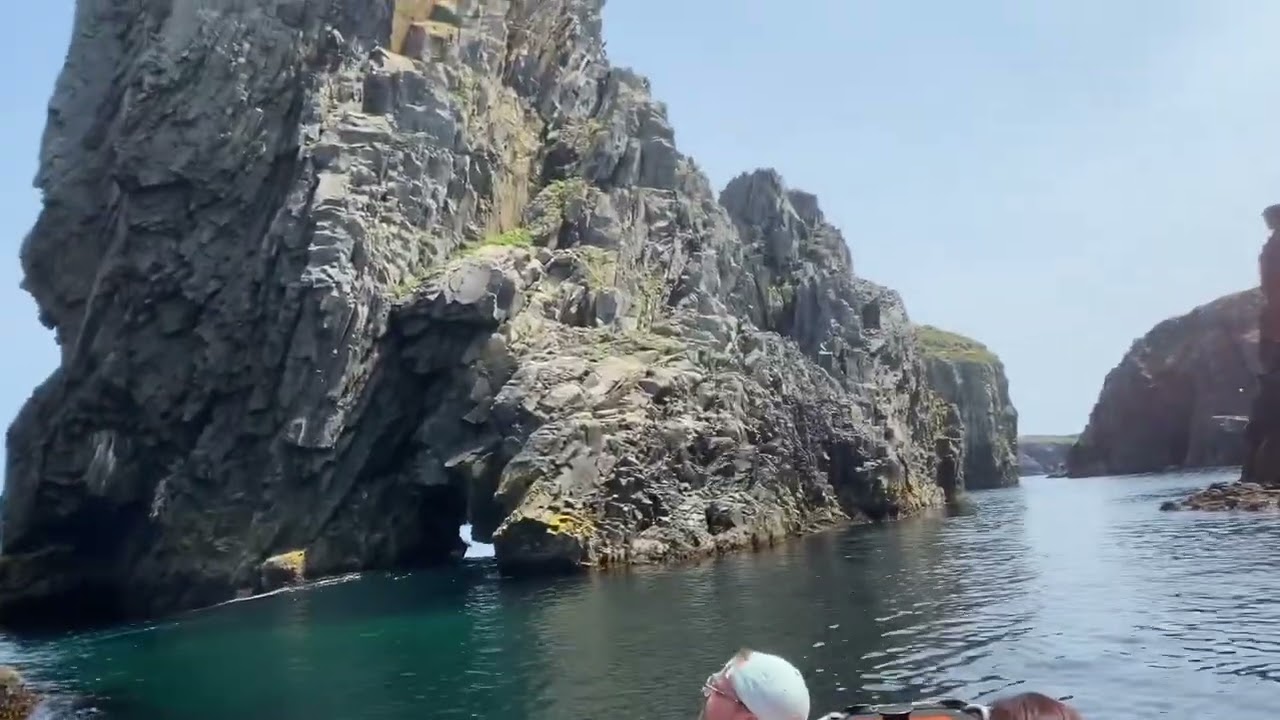 Cape Bonavista Zodiac Tour