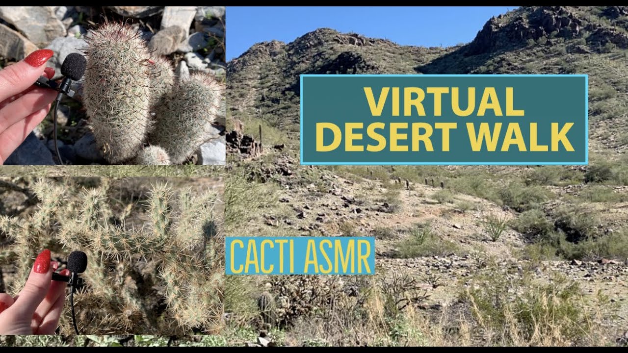 [ASMR] Virtual Walk Through Desert - Cacti Triggers