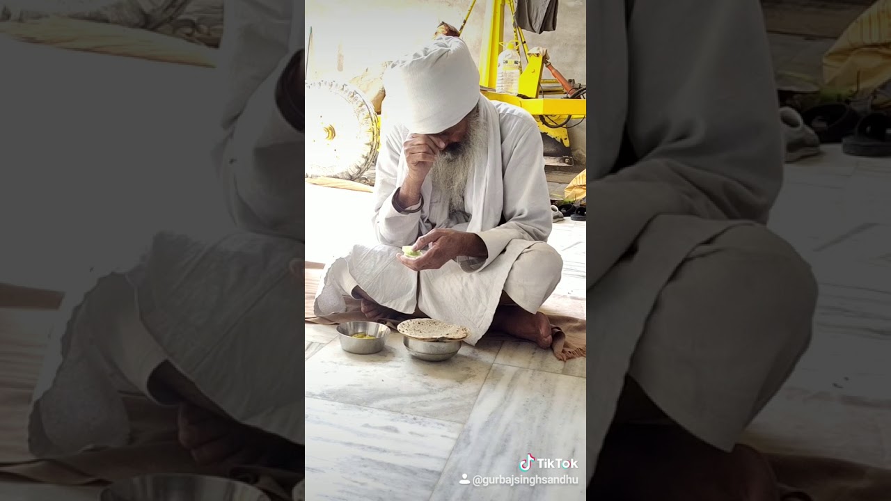 sant baba amrik singh ji kar sewa wale
