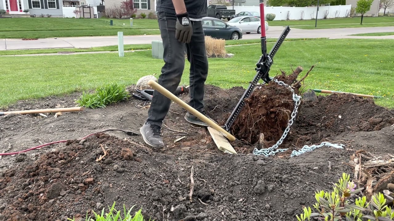 Removing tree stumps using harbour freight farm jack