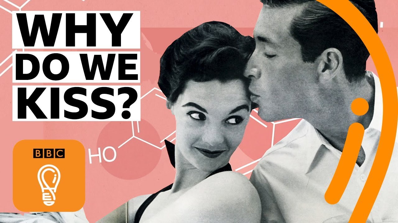 The science behind why we kiss | BBC Ideas
