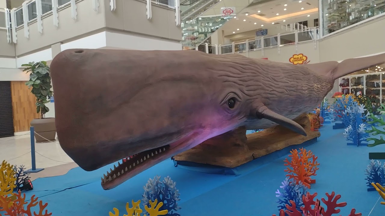 Baleia gigante Exposição animais marinhos shopping Aricanduva - sp.