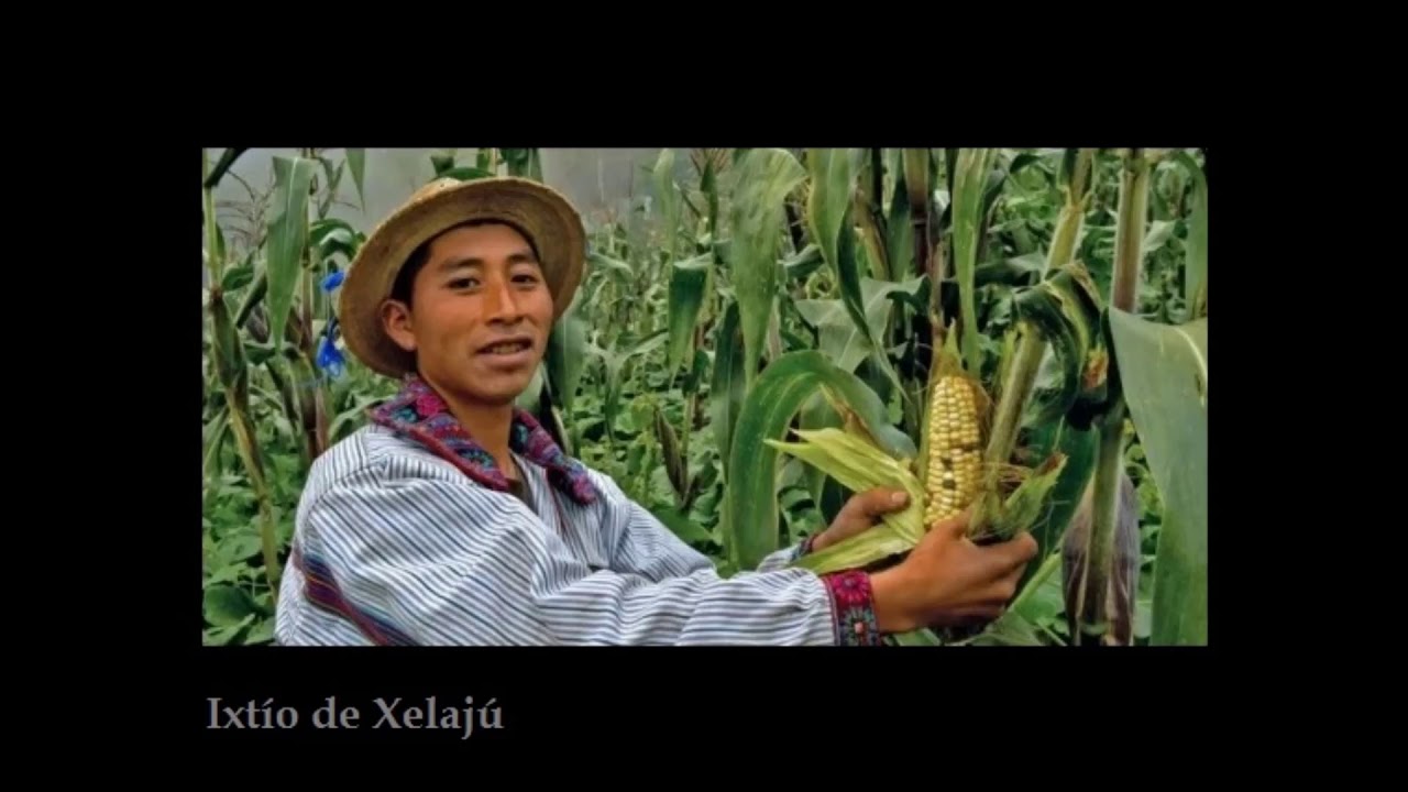 ¡El Maíz!