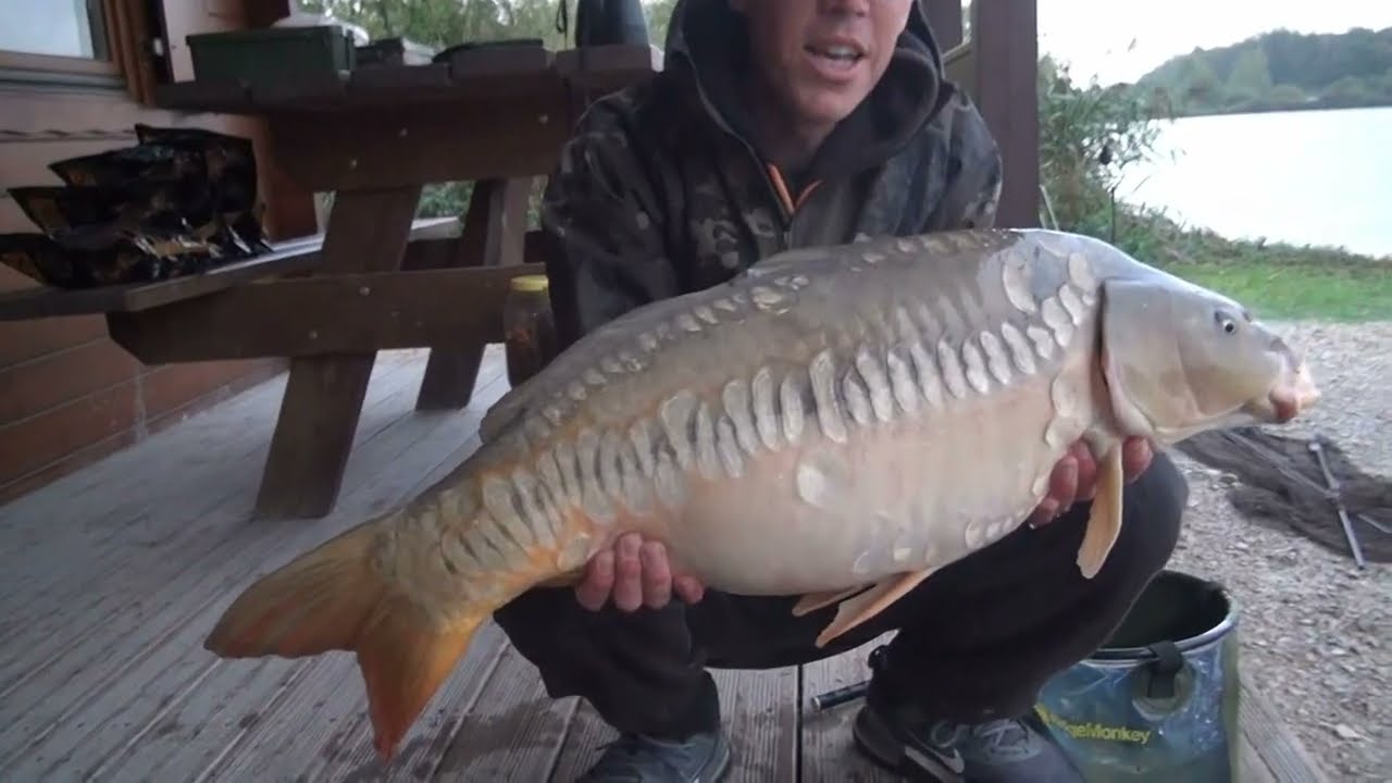 🌿 Succesvol karpervissen in Noord-Frankrijk | Alex Den Boer op Bel Foret | The Carp Specialist