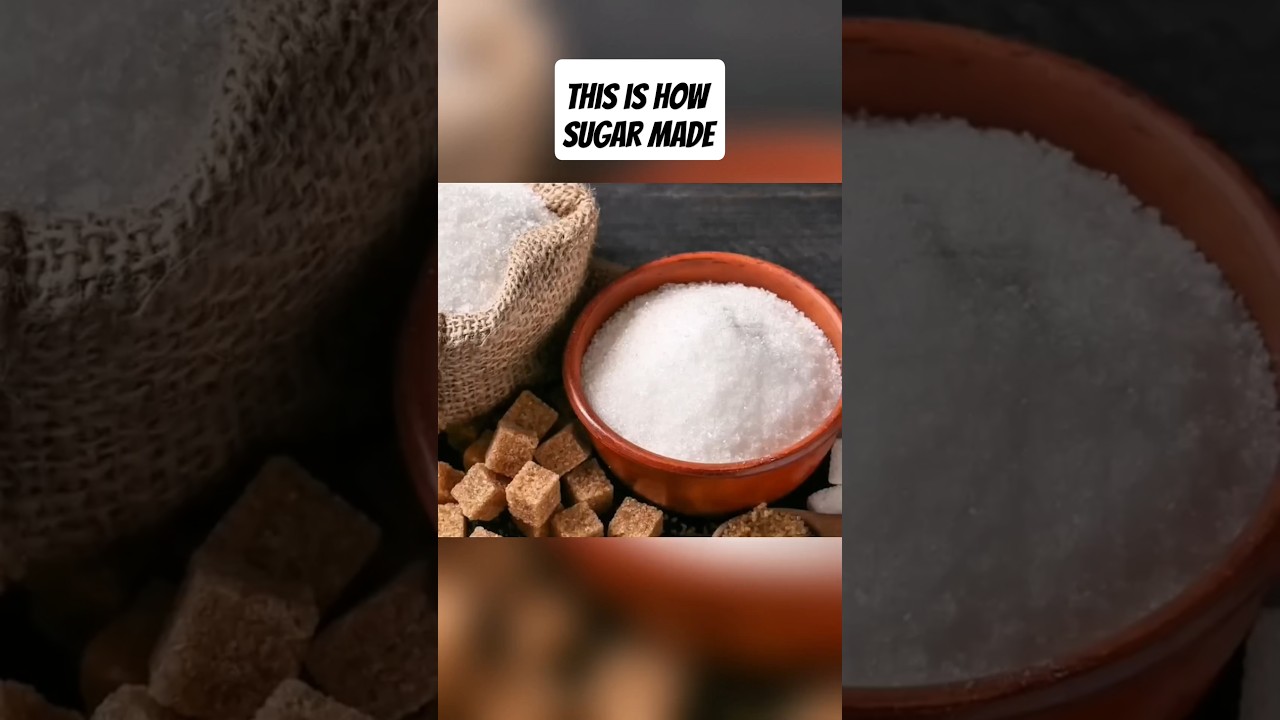 How Sugar are made from sugarcane