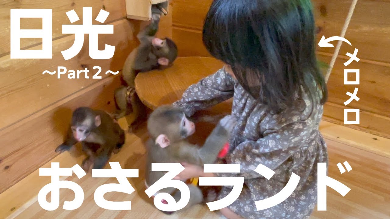 【日光旅行】日光さる軍団おさるランドで赤ちゃんさると触れ合い体験！終始メロメロ！！
