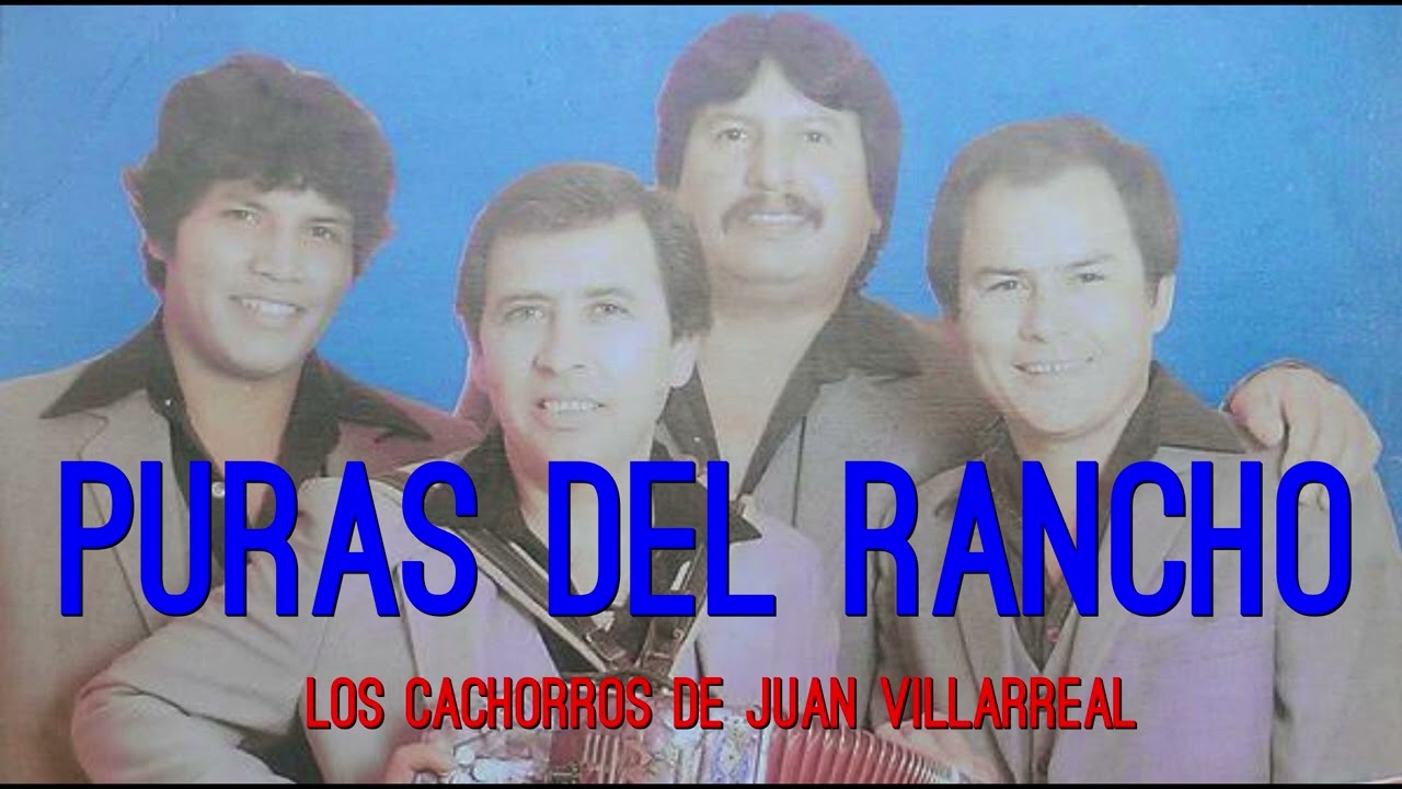 CUMBIAS - LOS CACHORROS DE JUAN VILLARREAL