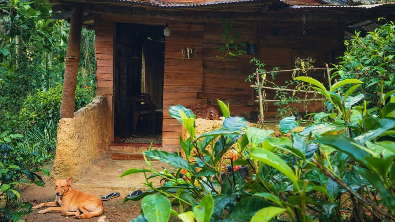  ගෙදර මිදුල ලස්සන කරන පලමු දවස  | “Cleaning Our Village Home Yard 🧹