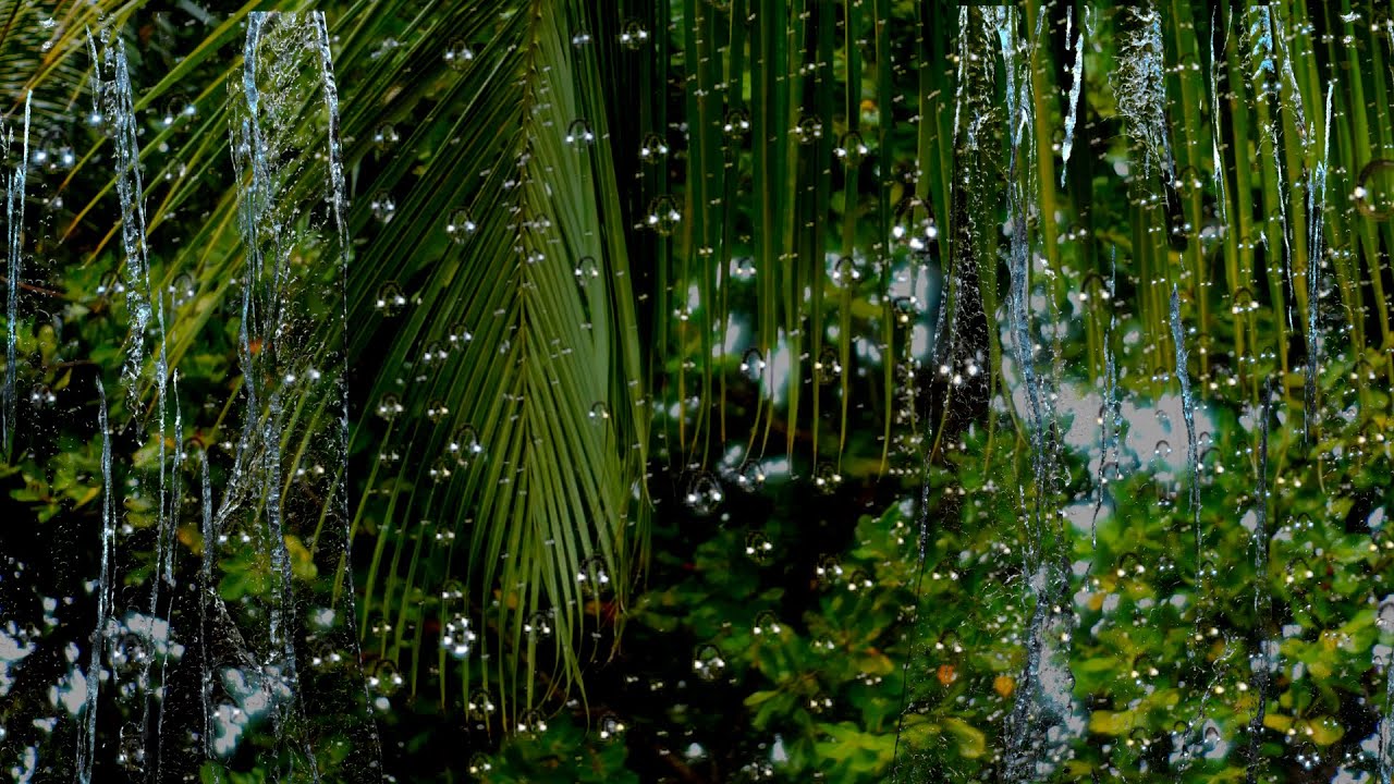 Regen -  Ger&auml;usch von Regen - Entspannen
