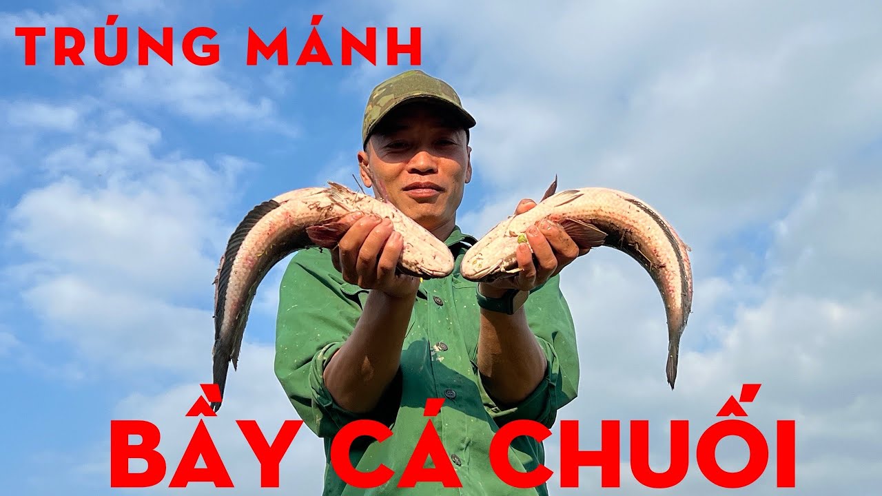 TÁT VŨNG BẮT CÁ,TRÚNG BẦY CÁ CHUỐI-TỰ THỢ RỪNG