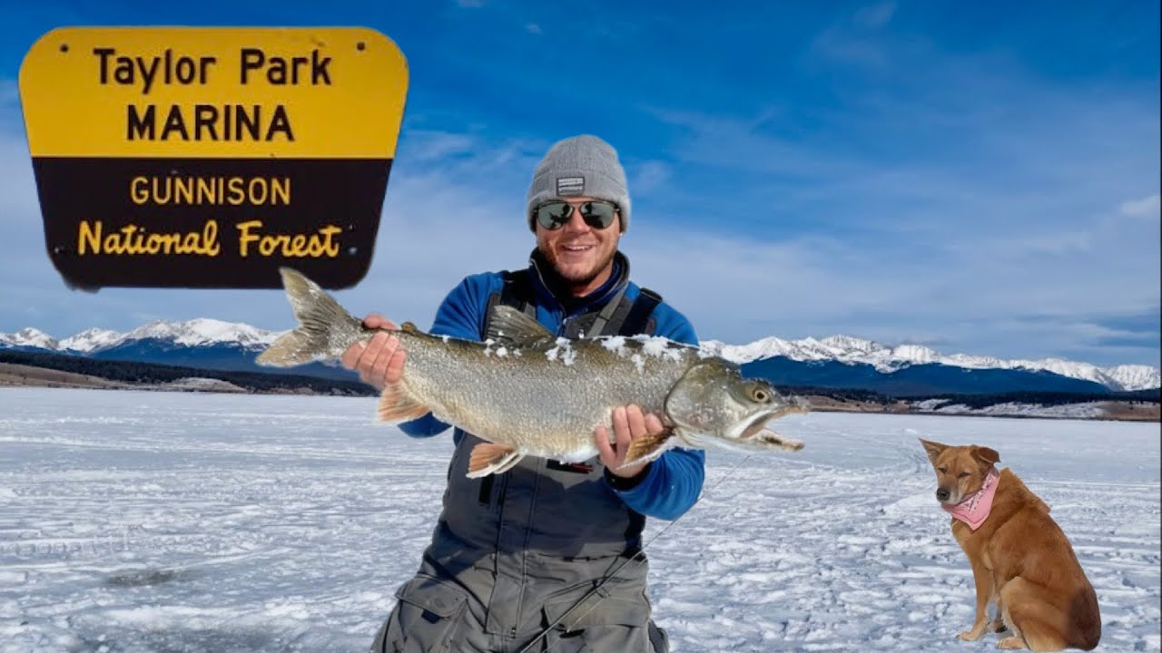 Chasing Big Lake Trout on Taylor Reservoir 