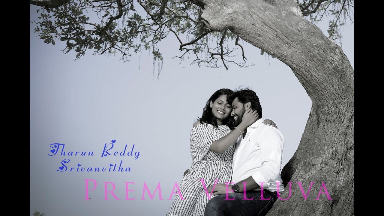 Prema Velluva || Tharun Reddy 💞 Srivanvitha || Pre Wedding || Trending  || 4k ||Teaser || 9848193171