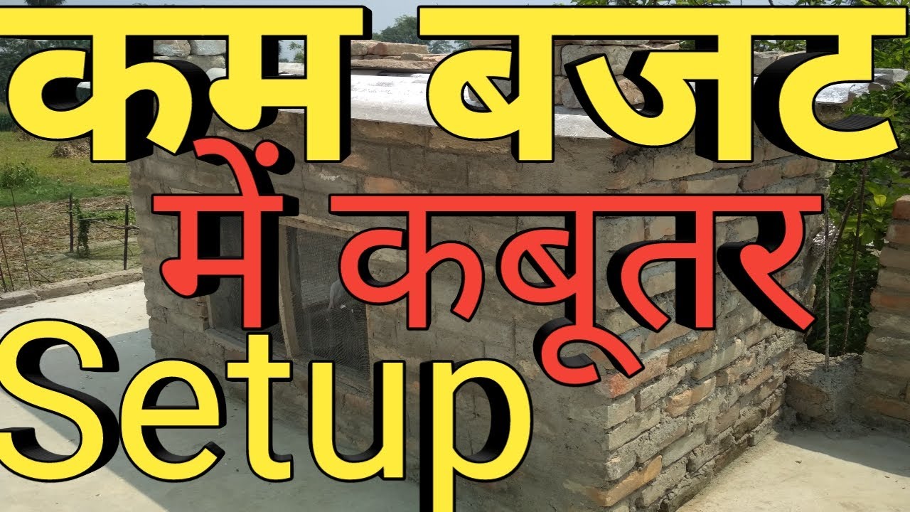 कम बजट में कबूतर का SETUP कैसा होना चाहिए  How To Make Pigeons Setup in Minimum Budget