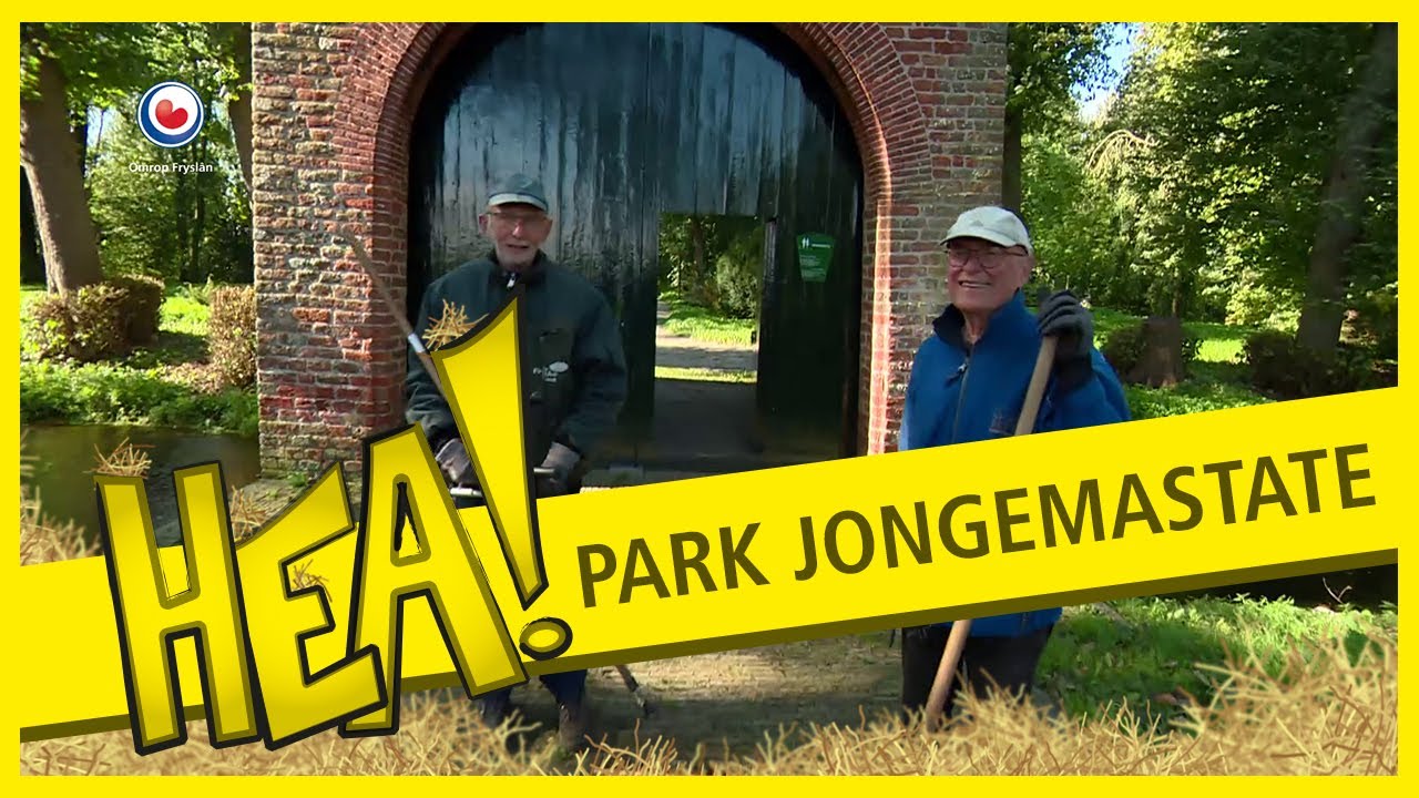 Park Jongemastate is weer netjes | HEA!