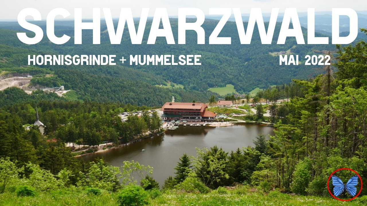 Schwarzwald: mit dem Wohnmobil zur Hornisgrinde - Radtour- schöner Campingplatz