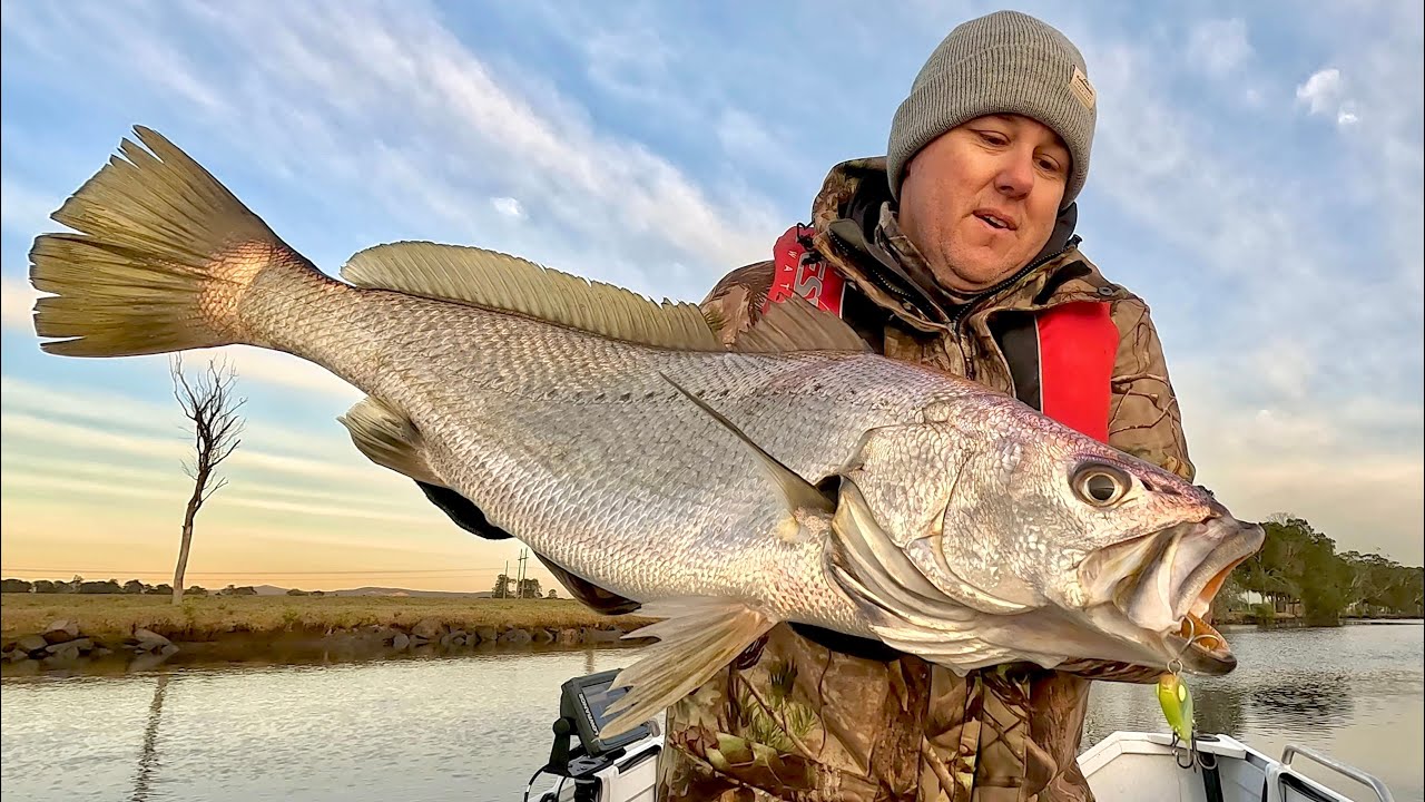 Jewfish bonanza-amazing river fishing