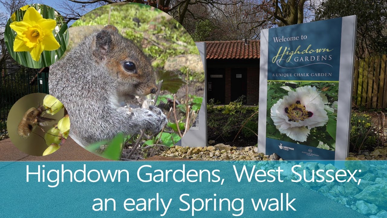 Highdown Gardens, Worthing, West Sussex; early Spring walk