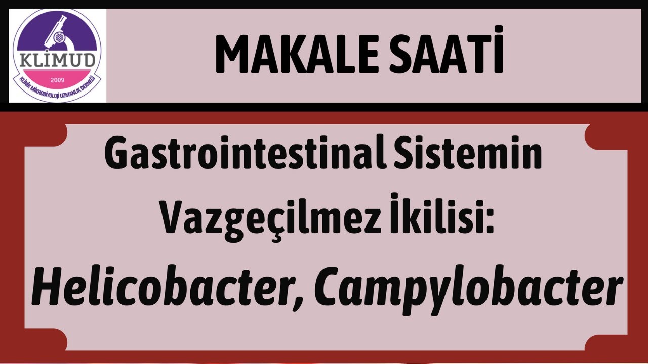 KLİMUD Makale Saati - Gastrointestinal Sistemin Vazgeçilmez İkilisi: Helicobacter, Campylobacter
