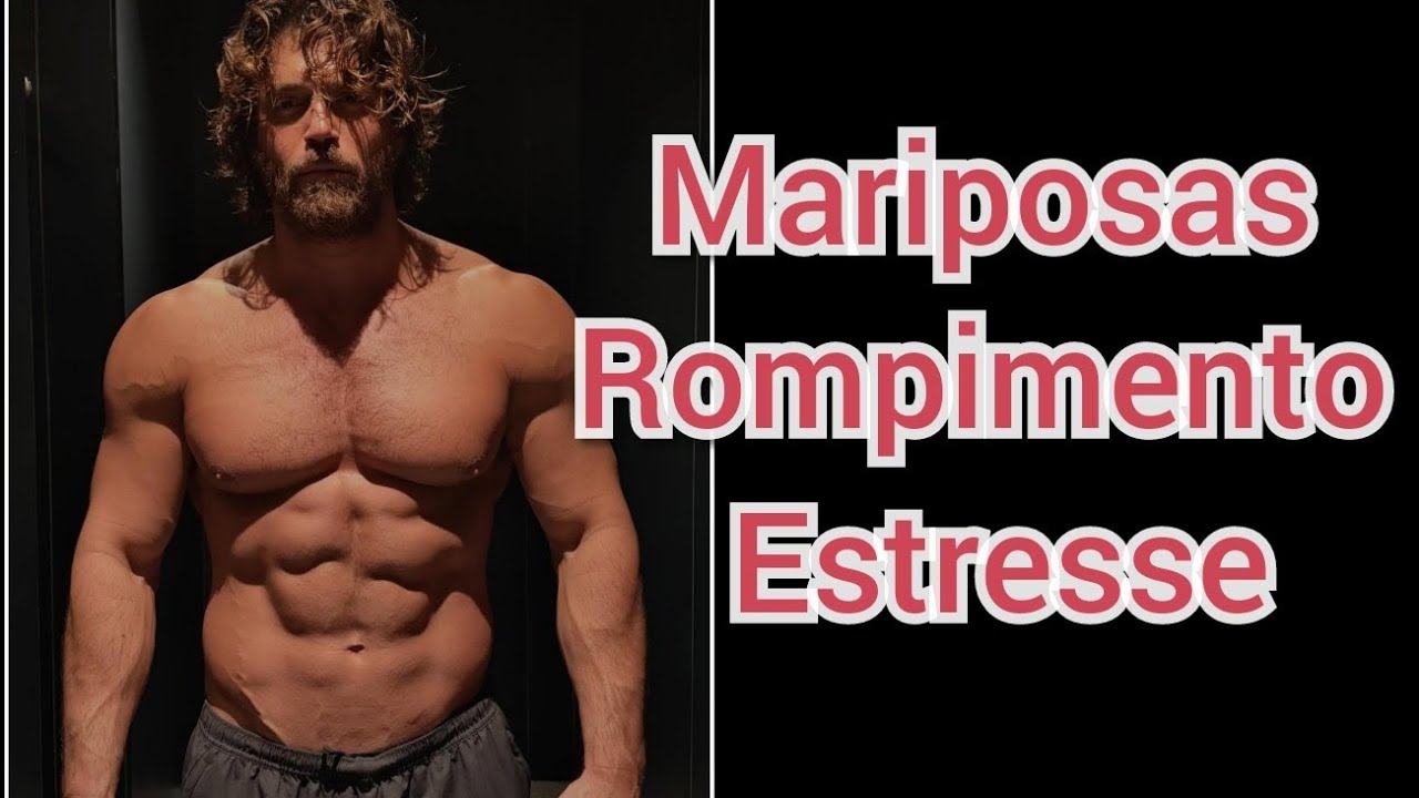 Can estressado Com fãs?