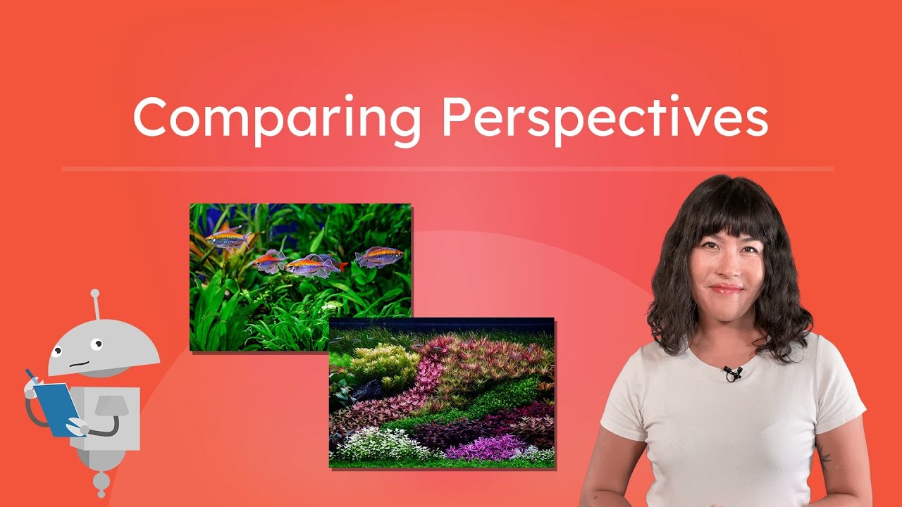 Comparing Perspectives - Two Authors on the Same Topic