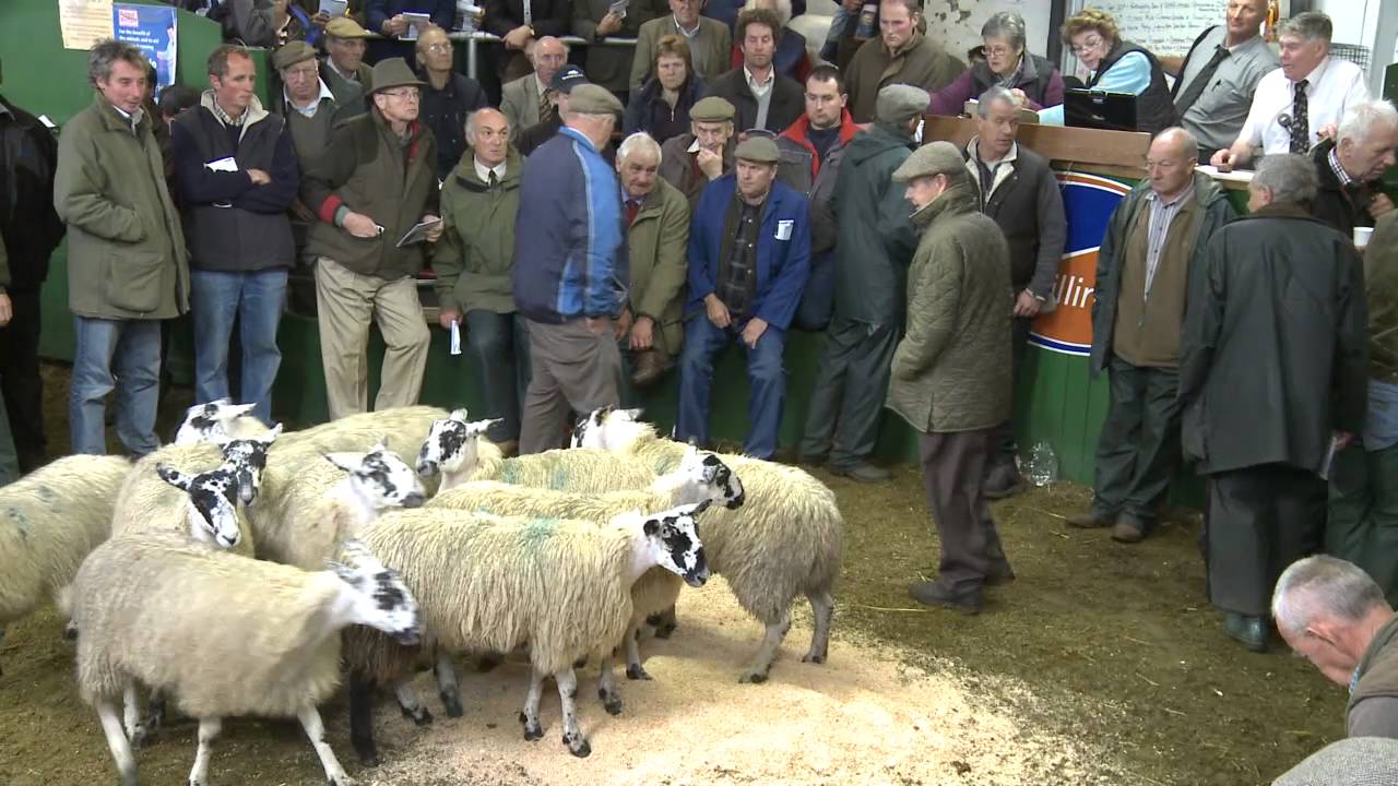 Trailer: The Hill Farmer in the Yorkshire Dales