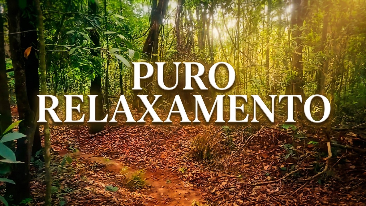 Caminhada Relaxante em meio á Natureza sons de Animais para Relaxa