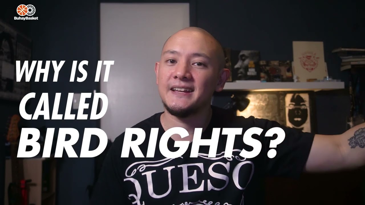 Bird Rights Explainer