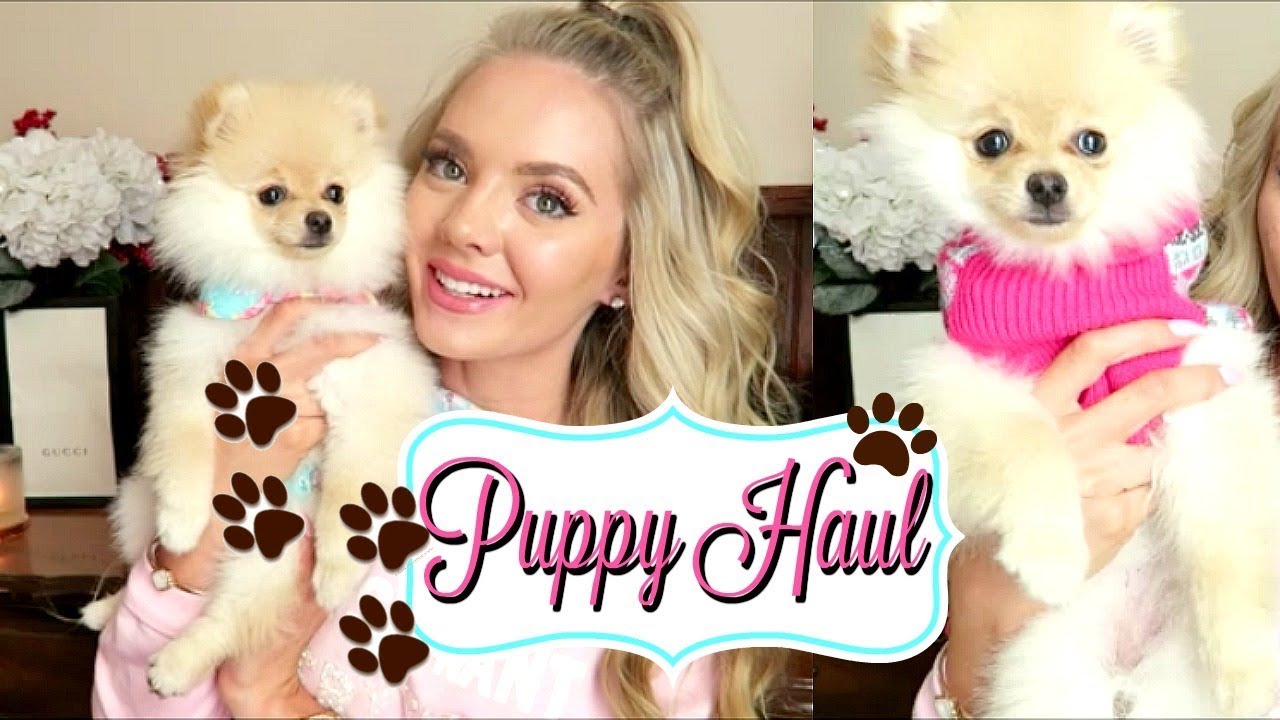 PUPPY HAUL | Clothes Toys Treats