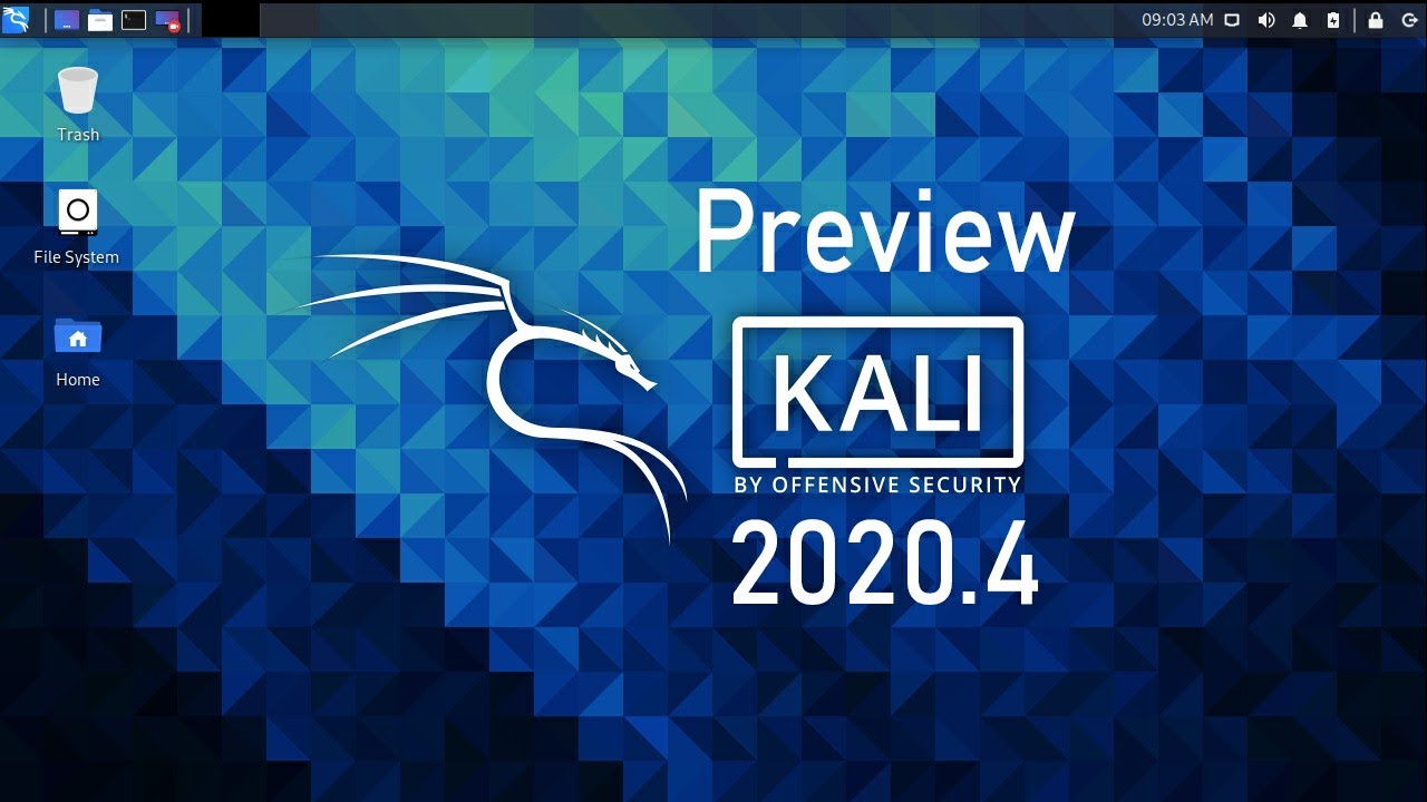 Kali Linux 2020.4 Preview