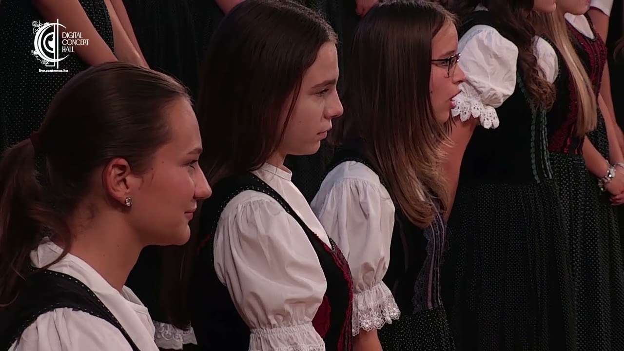 Bart&oacute;k B&eacute;la : Resteknek n&oacute;t&aacute;ja