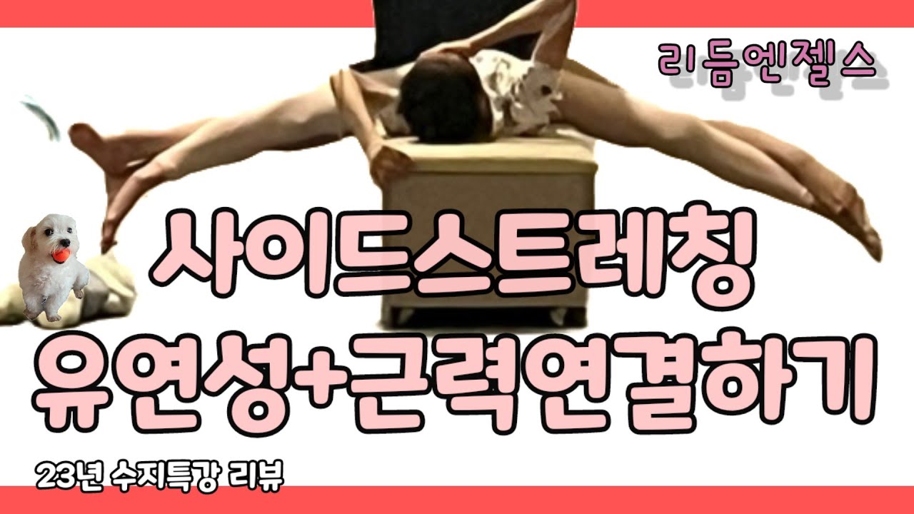 특강리뷰)턴아웃 고관절 가동성 만들기(아라베스크 퐁쉐연결 연습법)