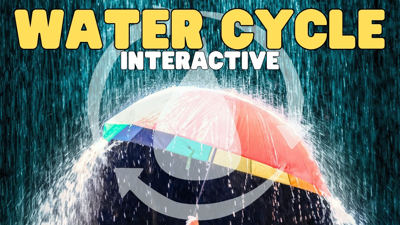 Water Cycle | Interactive | Learn all about the stages of this natural earth cycle