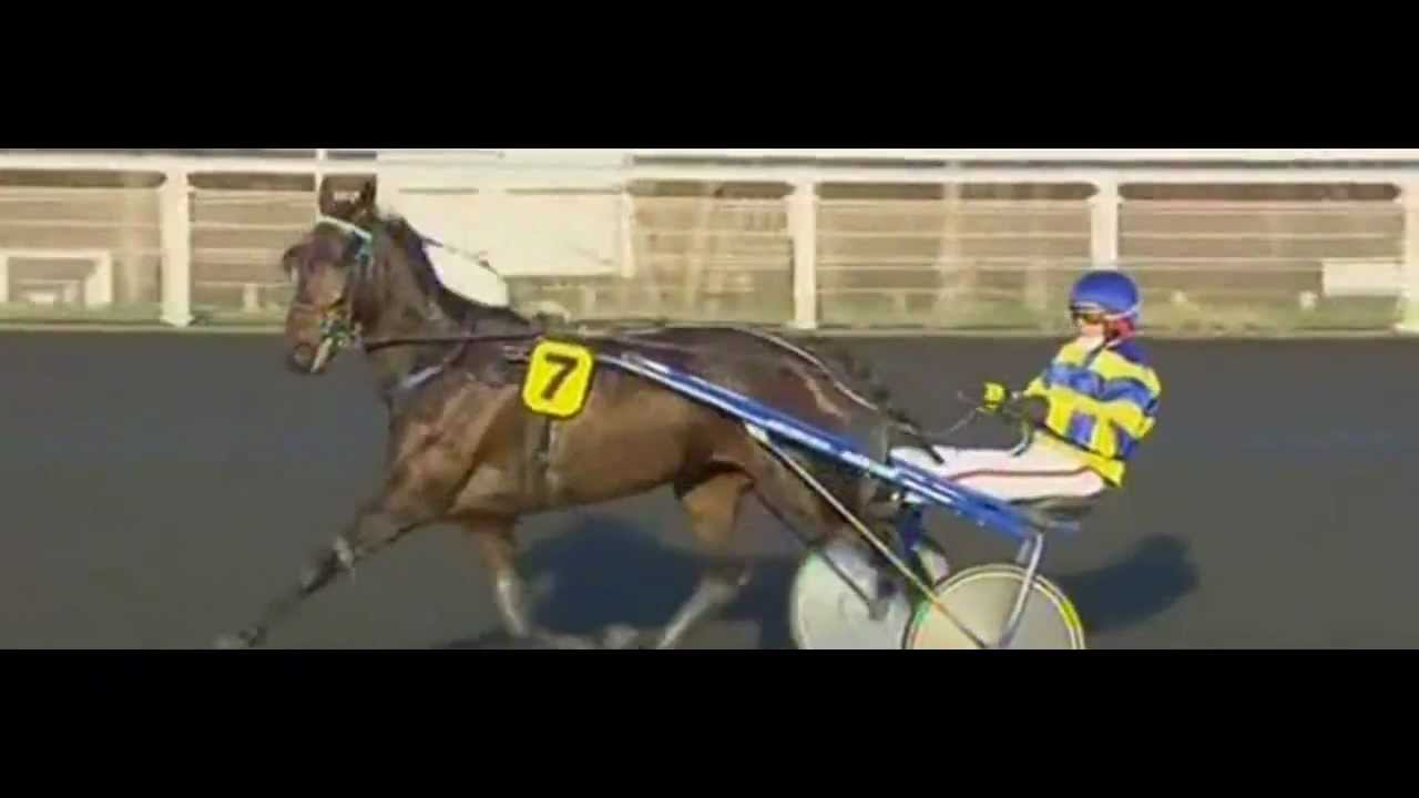 Prix De Fos Sur Mer 2012_Trinity Jiel 1:13,8_J. Verbeeck