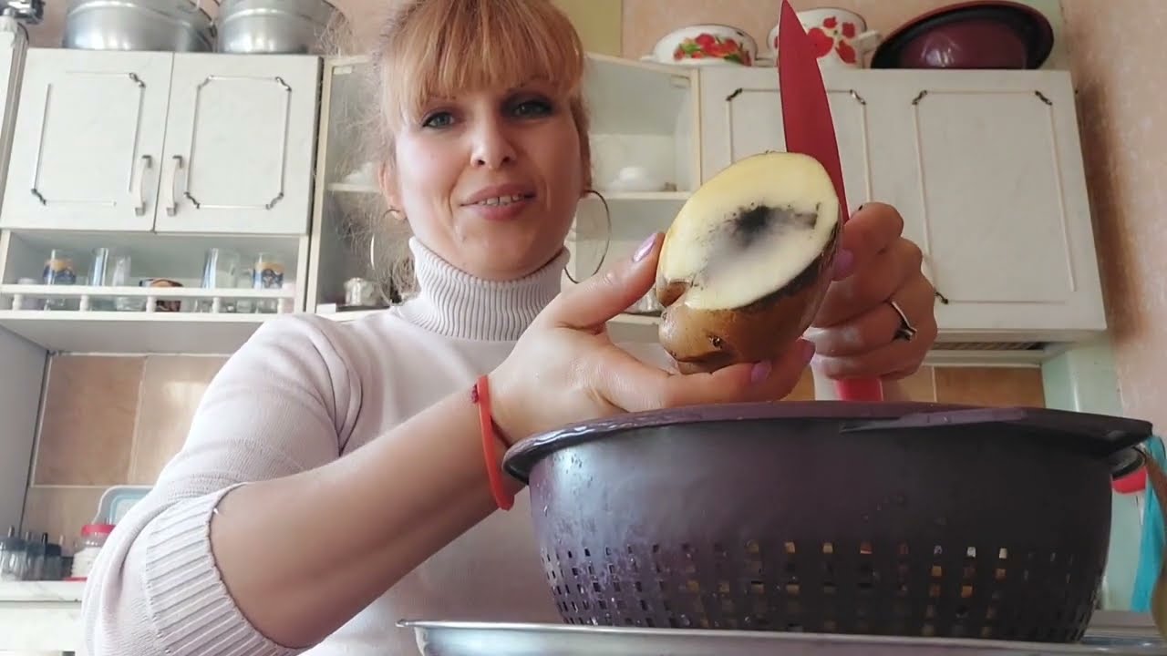 შუადღის ვლოგი