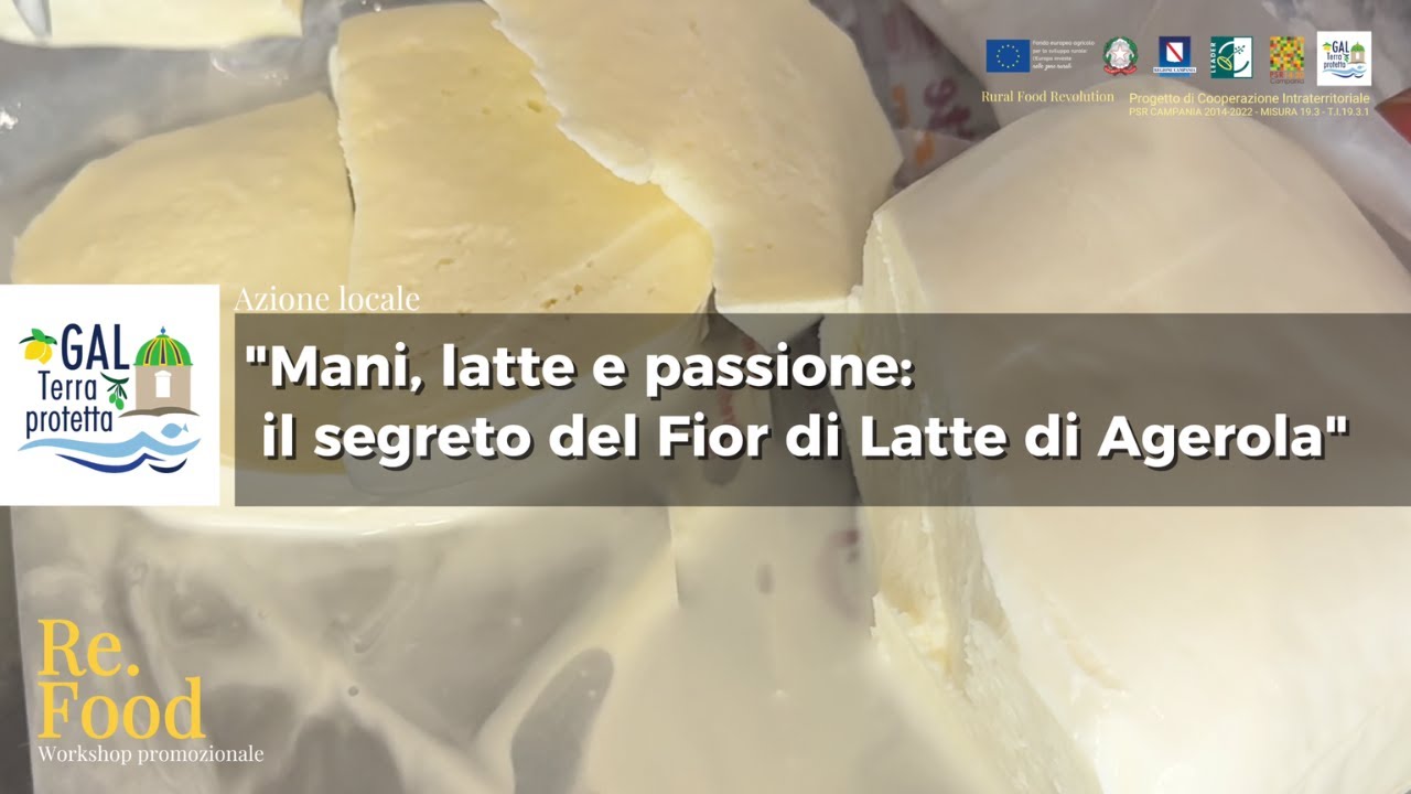 “Mani, latte e passione: il segreto del Fior di Latte di Agerola” | Re.Food