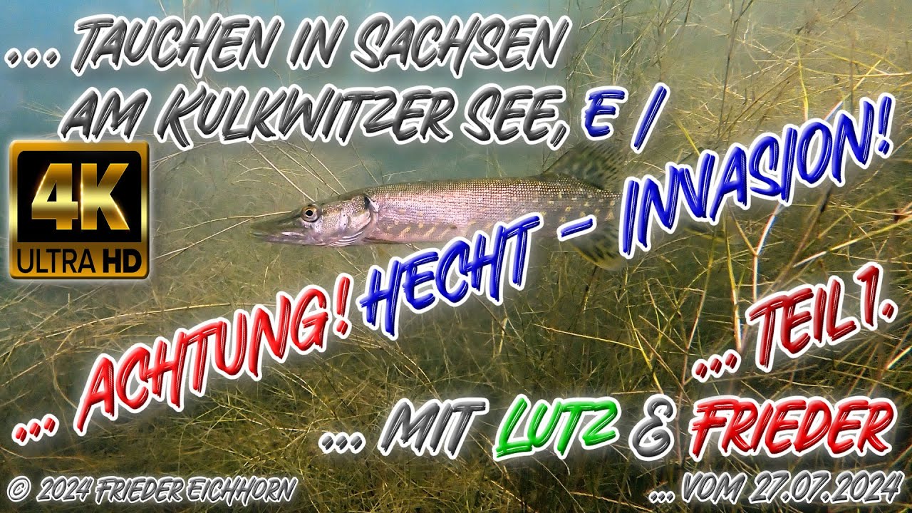 Tauchen in Sachsen, 🐟 Kulkwitzer See 🐠, E I, 27.07.2024, Teil 1.