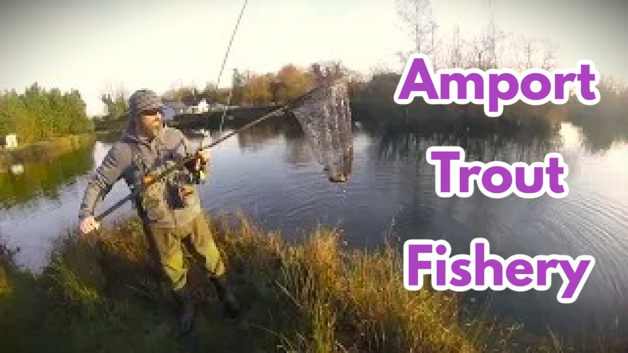Amport Trout Fishery, Autumn gin clear water in Andover. Matt does the brown double + catch & cook.