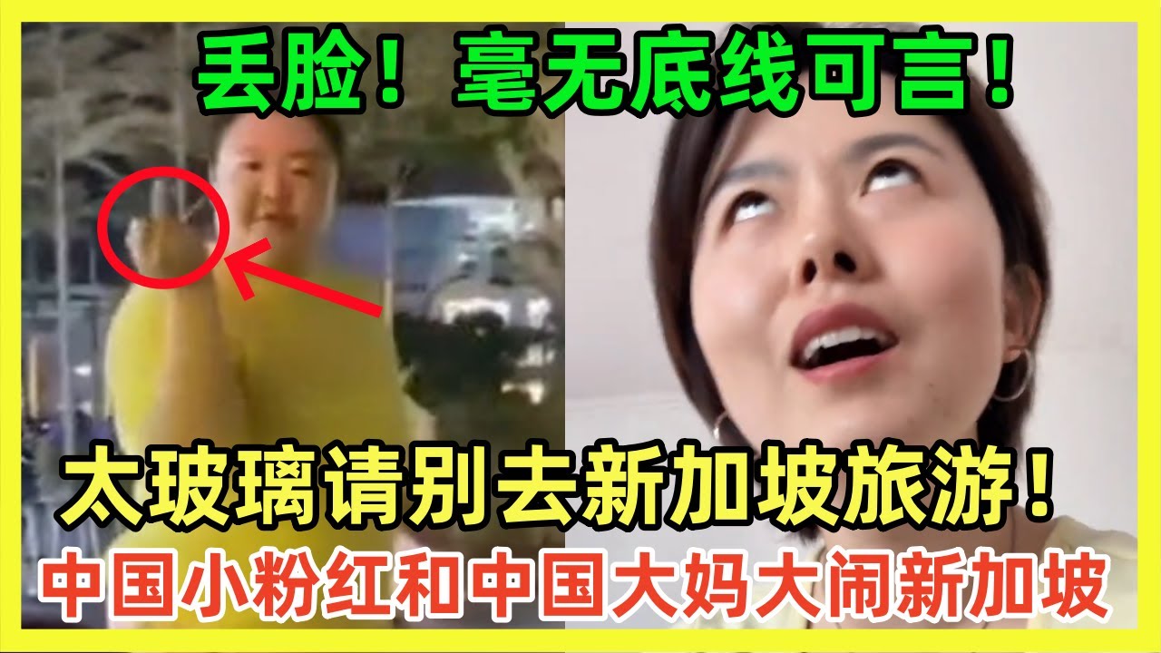 爱惹事就别来新加坡旅游！中国大妈711便利店发狂；中国小仙女超级高傲怒喷新加坡店员！为什么中国人被新加坡拒绝入境？理由太劲爆！｜Reaction Video｜小粉红｜新加坡