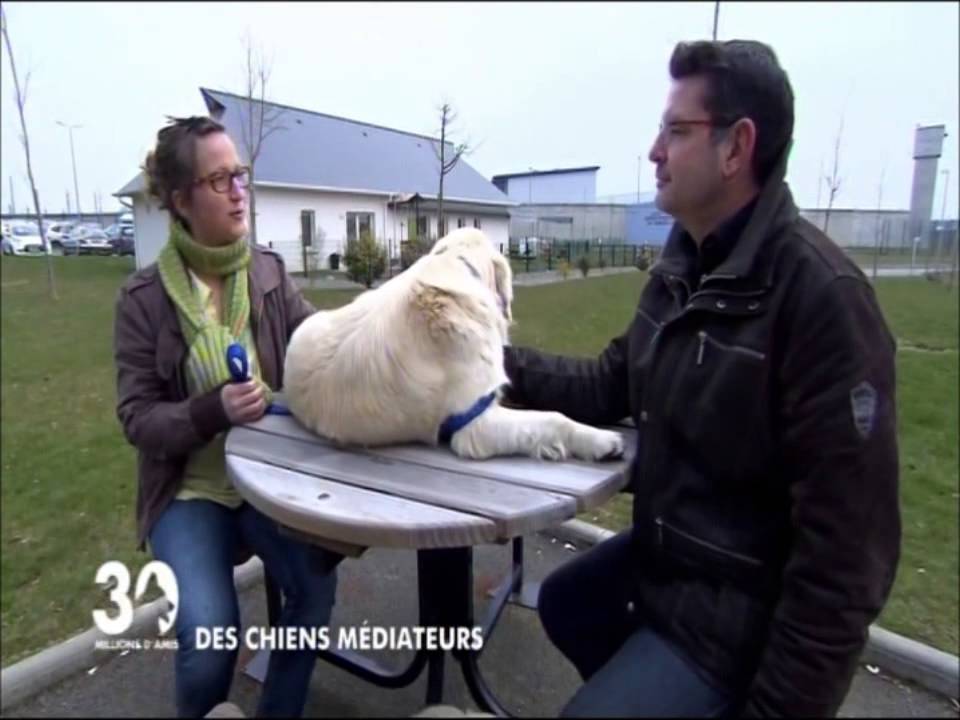 [2013] Reportage + Conférence: Médiation animale en Milieu Carcéral (30 Million d’amis avec Umanima)