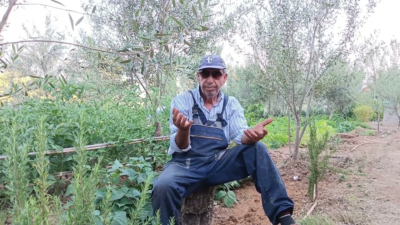 Youcef u qassi
