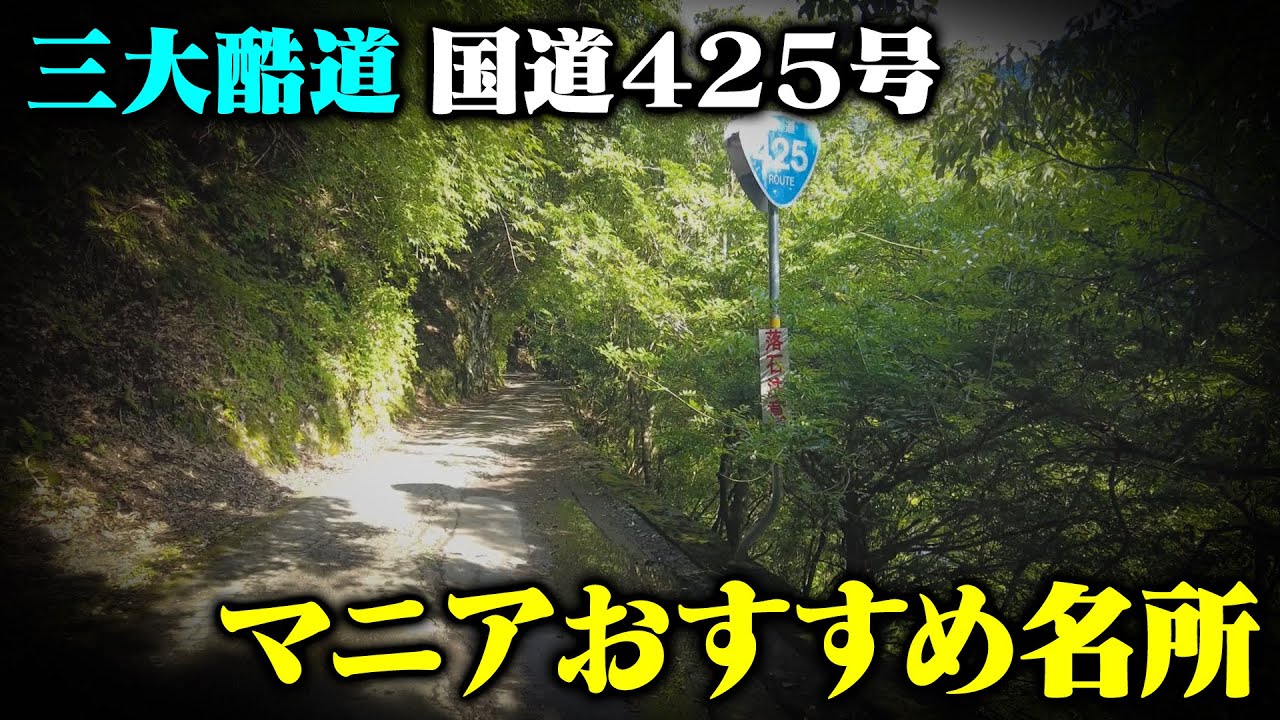 【日本三大酷道】道マニアと巡る国道425号　マニア目線の名所も