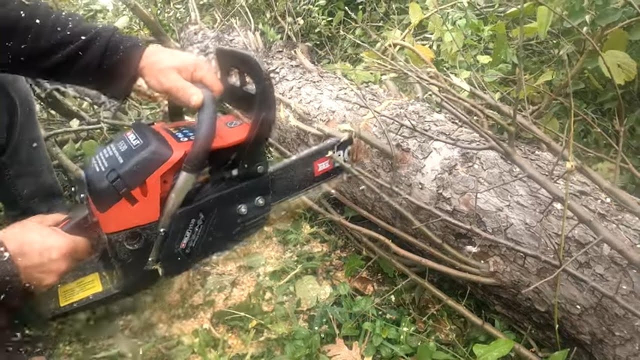 Elektrik direği Yıkılıyor / İşyerine Kışlık Odun Kestik / Öğle ne Yedik