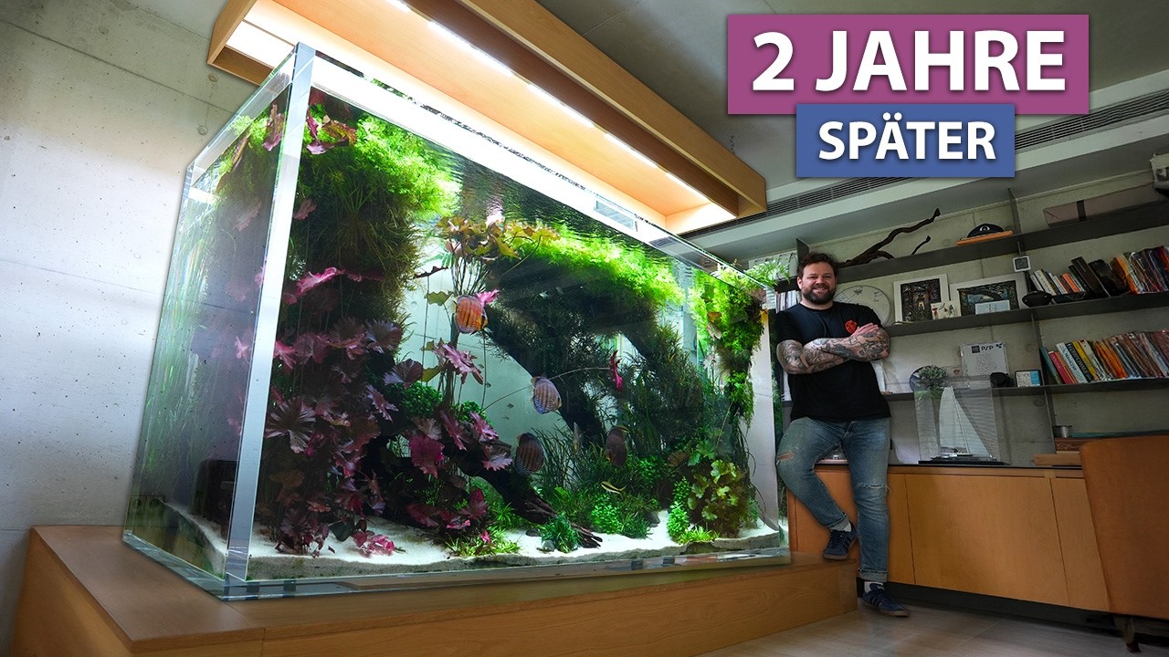 Die Transformation - Ultimatives Aquascape 2 Jahre sp&auml;ter!