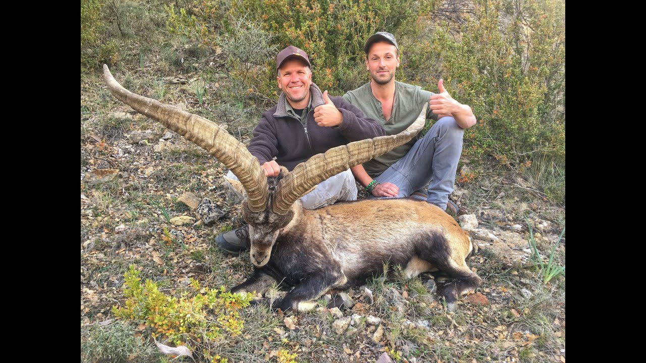 IBEX HUNT - Spanish Ibex Grand Slam - Hunting in Spain