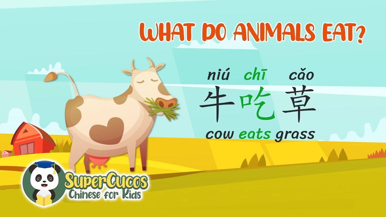 Learn Chinese for Kids- What Do Animals Eat? | 学中文- 动物吃什么? | Aprender Chino - Qu&eacute; Comen los Animales