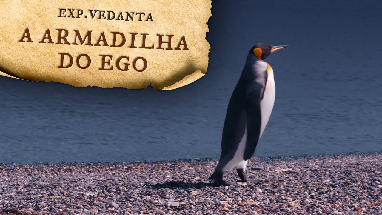 EGO - O MAIOR OBST&Aacute;CULO DA ESPIRITUALIDADE  | Expedi&ccedil;&atilde;o Vedanta na Patag&ocirc;nia (#4)