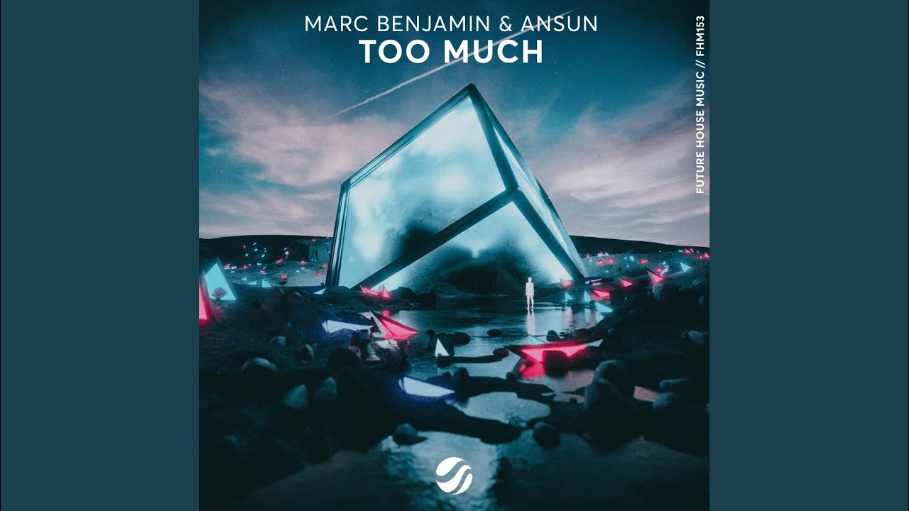 Too Much (Original Mix)