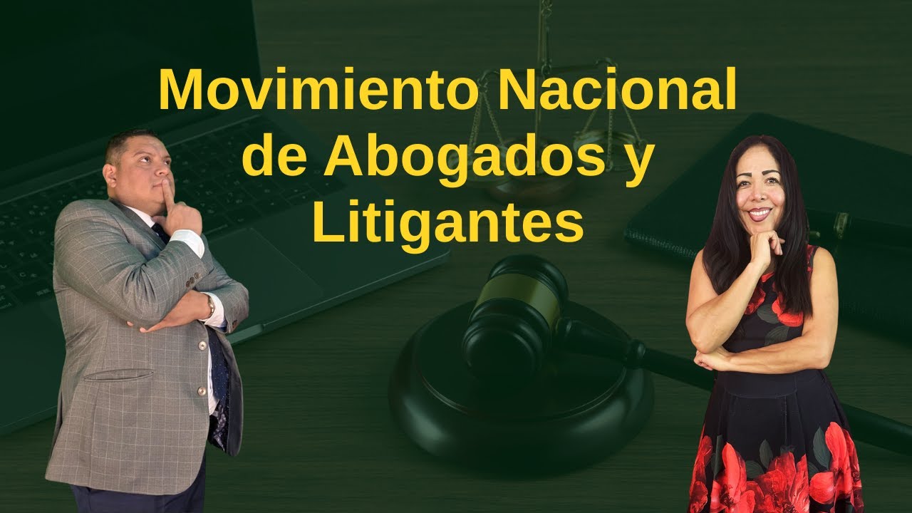 Movimiento Nacional de Abogados y Litigantes
