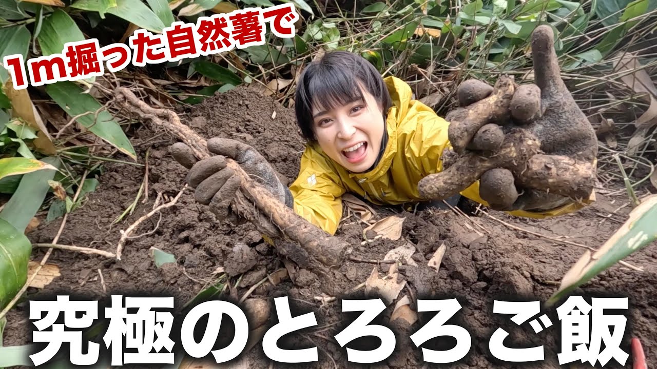掘り起こした自然薯のとろろご飯が絶品