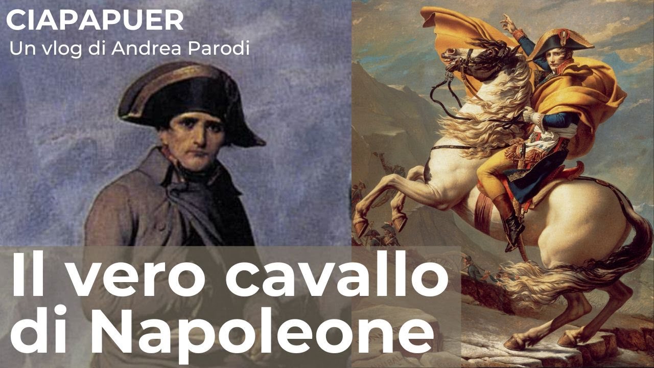 Il vero cavallo di Napoleone